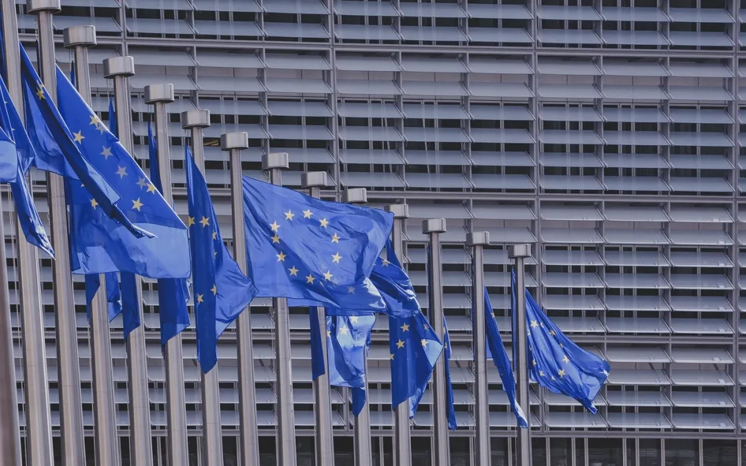 Cosa farà la BCE? Si naviga a vista