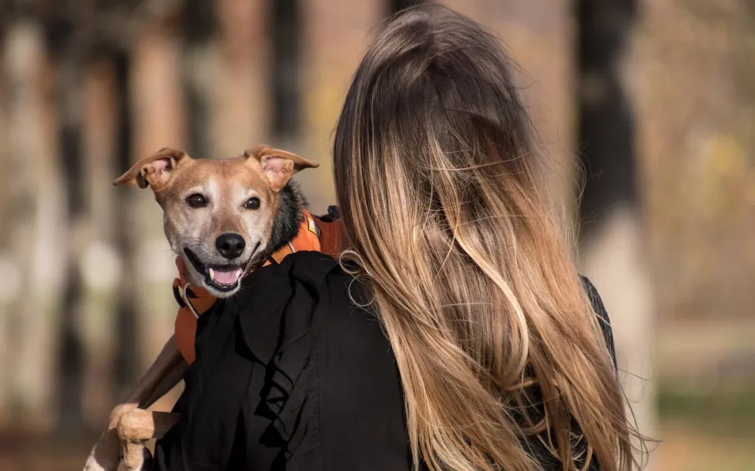 La “pet economy” corre e cresce l’interesse ad attrezzare aree dedicate negli scali degli aeroporti